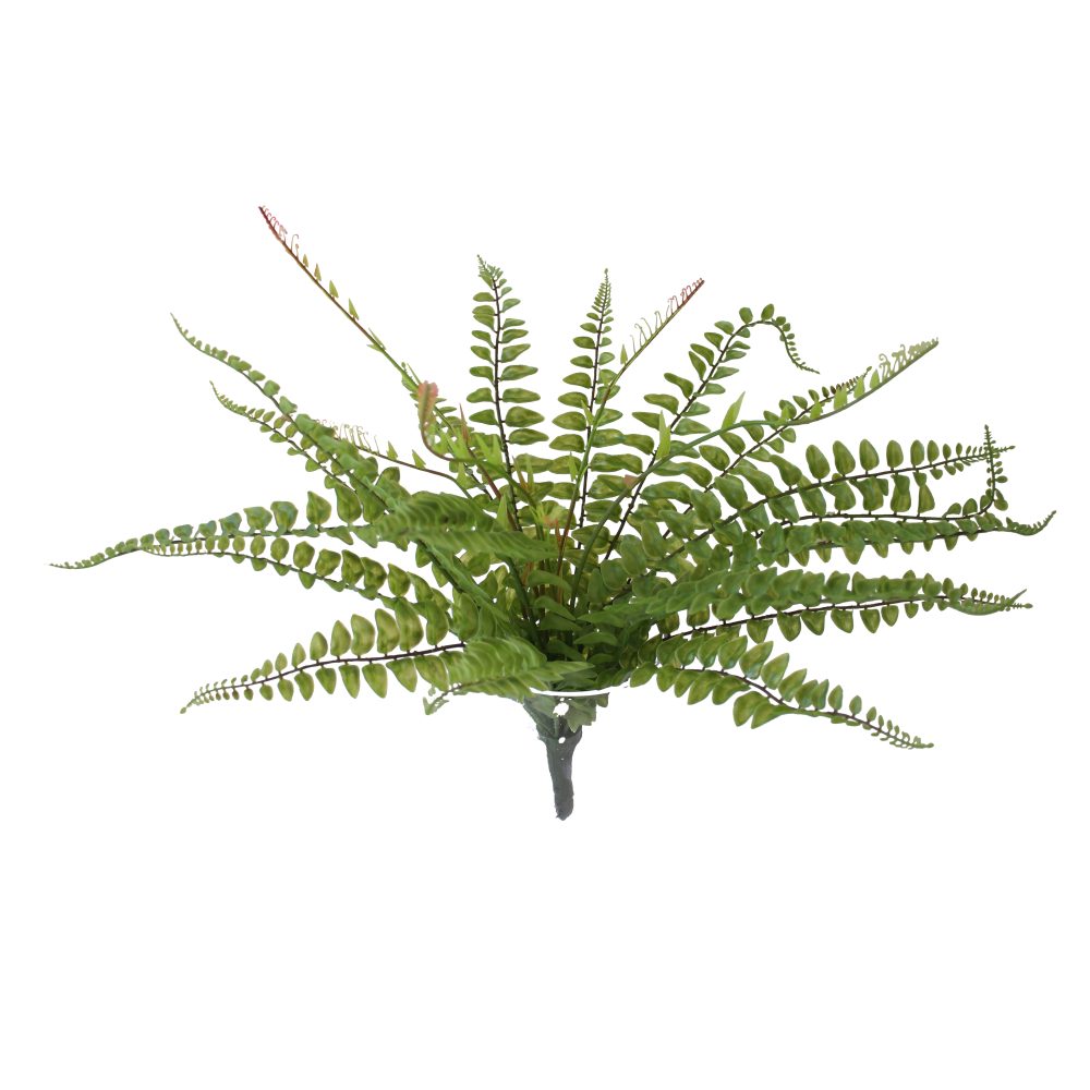 Fern Bush 45cm
