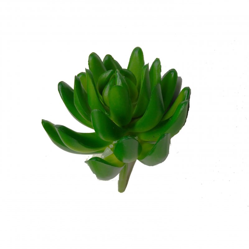 Artificial Cactus | Artificial Succulents | Greenery Imports