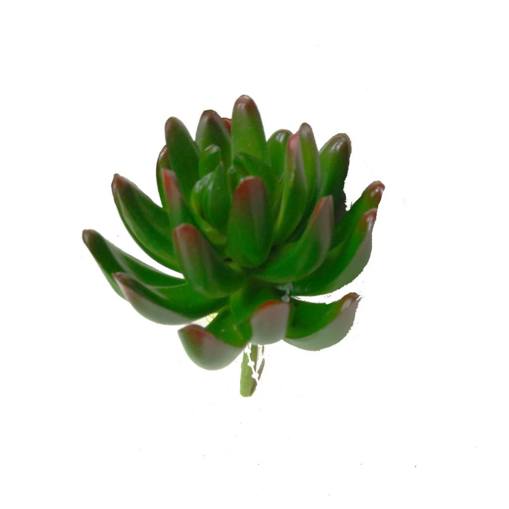 Artificial Cactus | Artificial Succulents | Greenery Imports