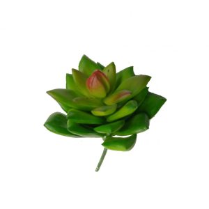 Cactus & Artificial Succulents