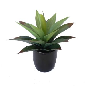 AGAVE PLANT GREEN RED POTTED 25CM COMPLETE WITH FIBREGLASS POT