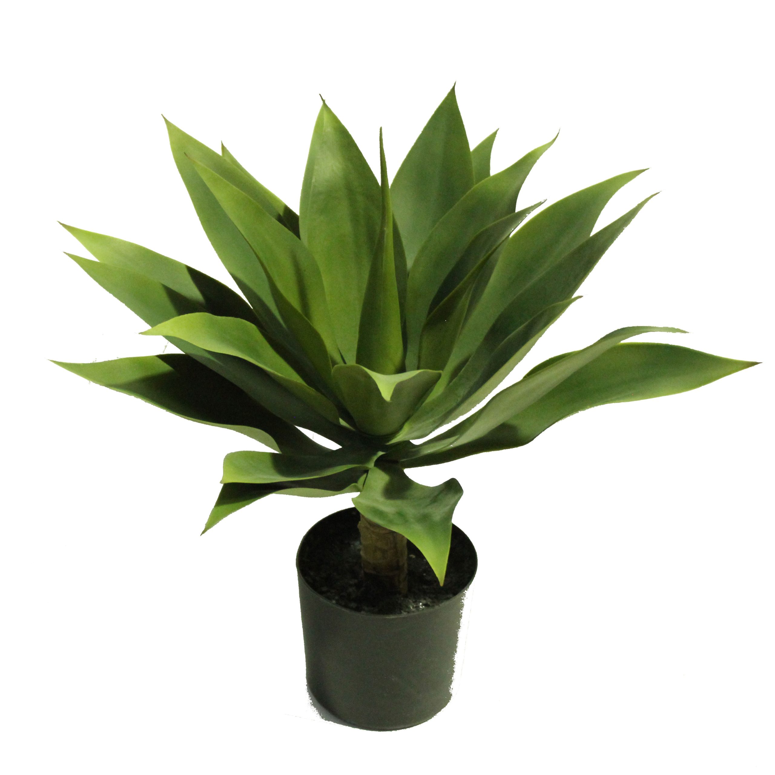 Artificial Agave Plant Green 45cm Greenery Imports