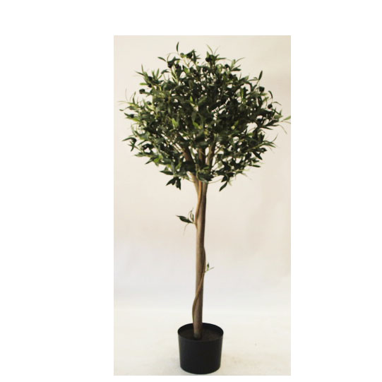 olive topiary 120-New
