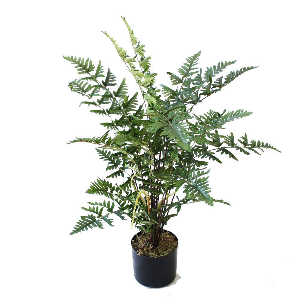 Faux Leather Fern 48cm UV Stabilised | Greenery Imports