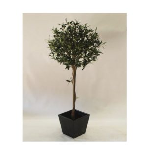 olive topiary 120 New-stp23