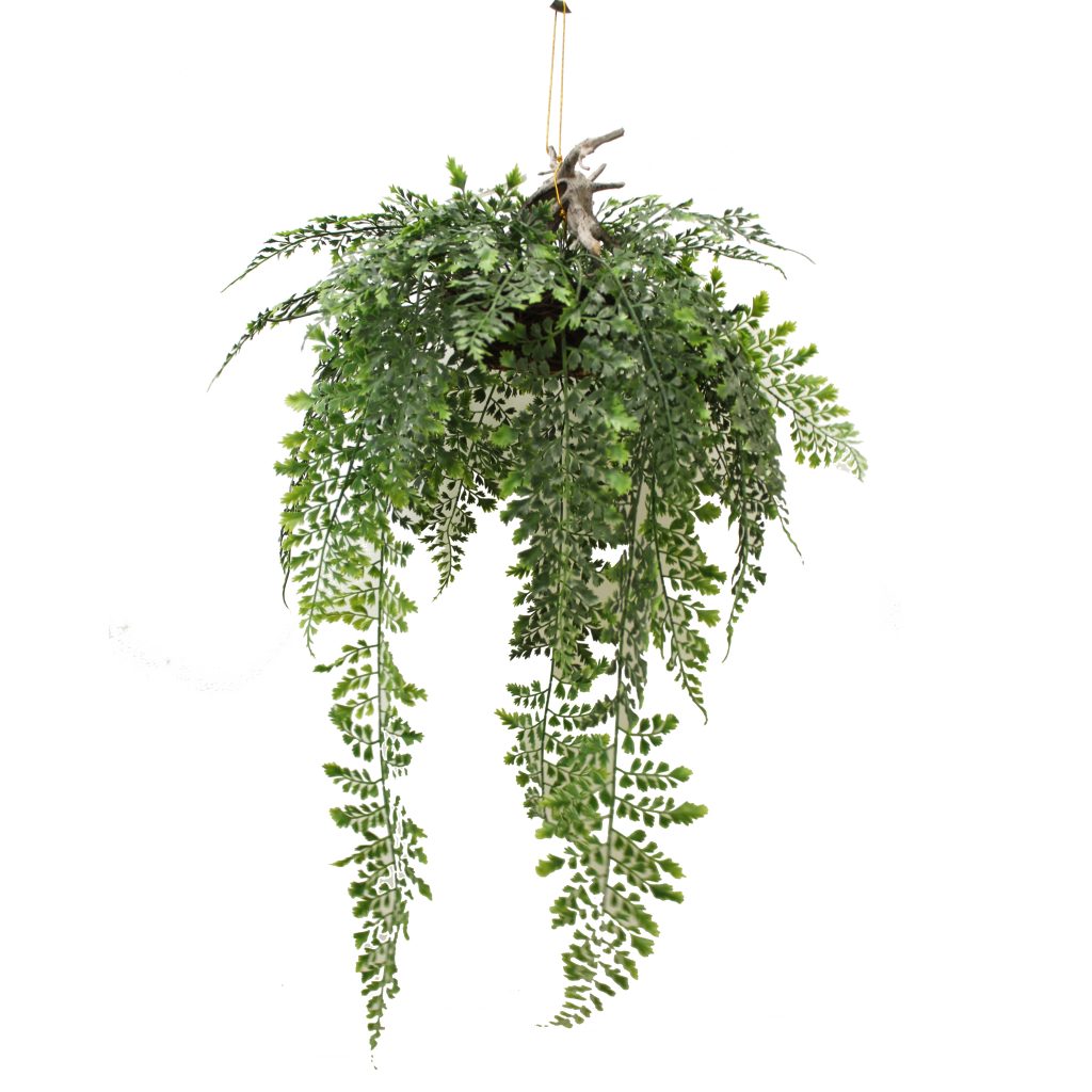 Artificial Plants Monthly Specials | Greenery Imports