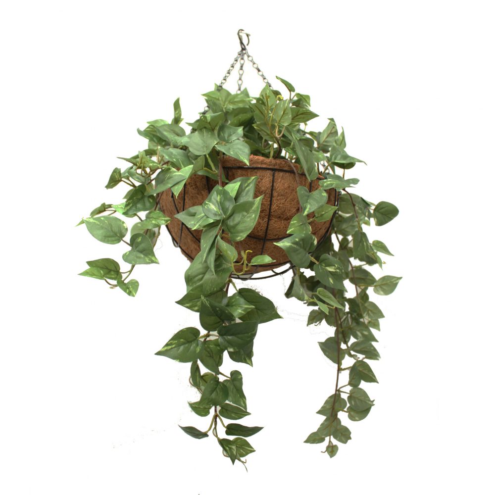 Artificial Pothos Vine 73cm In Hanging Basket Greenery Imports 8558