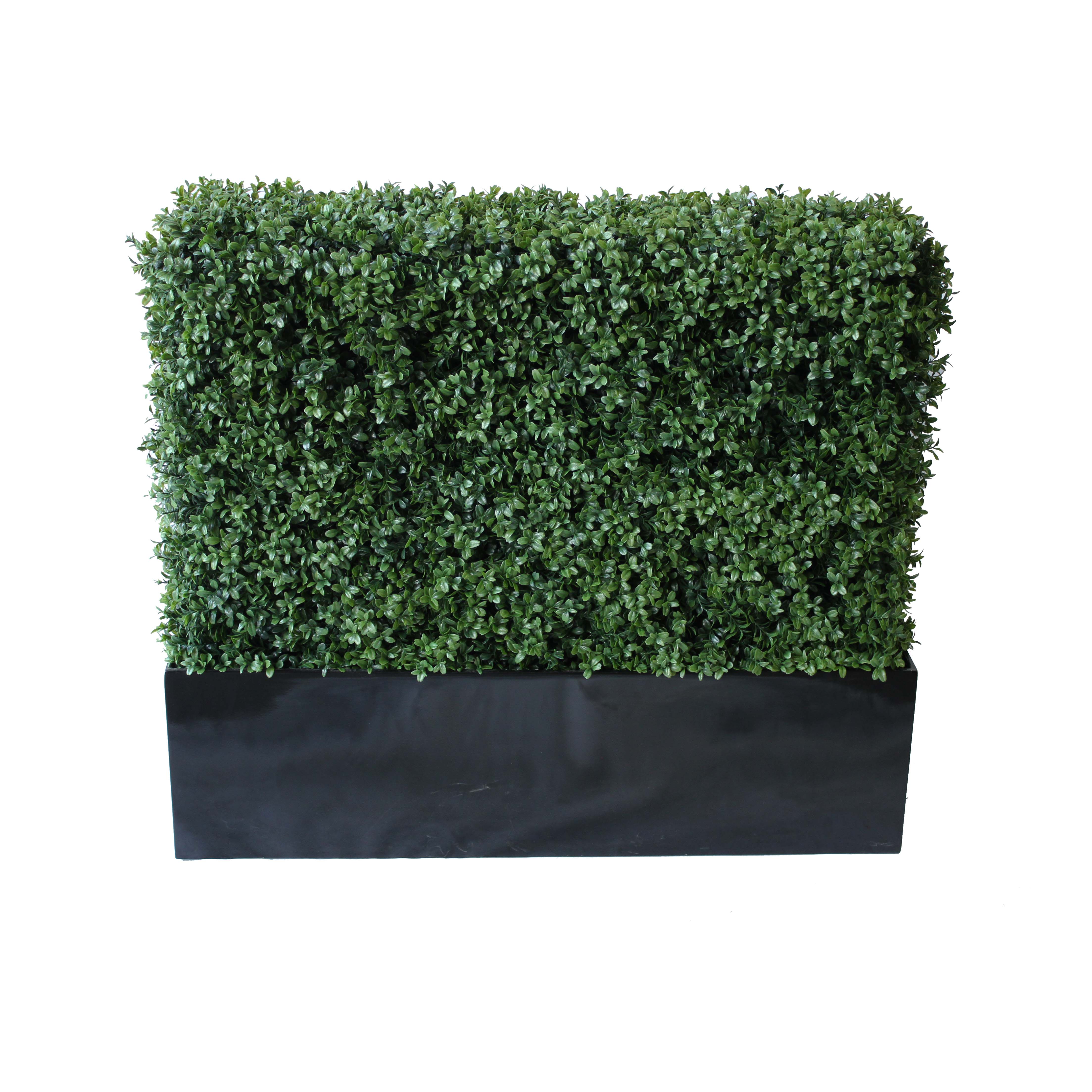 PREMIUM DELUXE BOXWOOD HEDGE 120 WIDE X 95CM TALL WITH FIBREGLASS TROUGH