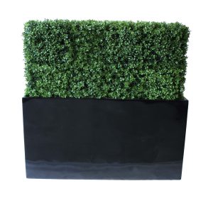 PREMIUM DELUXE BOXWOOD HEDGE 120 WIDE X 115CM TALL WITH FIBREGLASS TROUGH