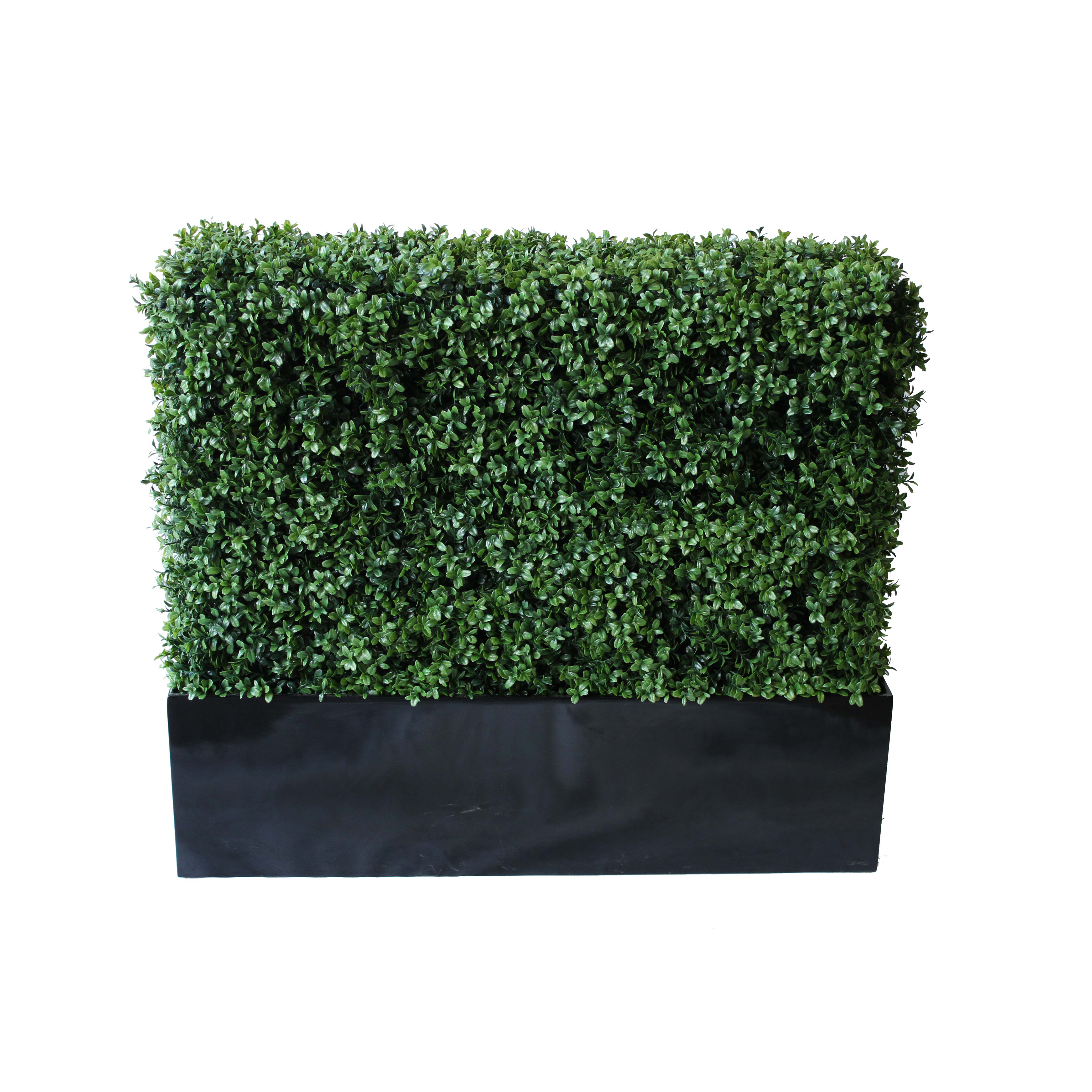 PREMIUM DELUXE BOXWOOD HEDGE 90 WIDE X 75CM TALL WITH FIBREGLASS TROUGH