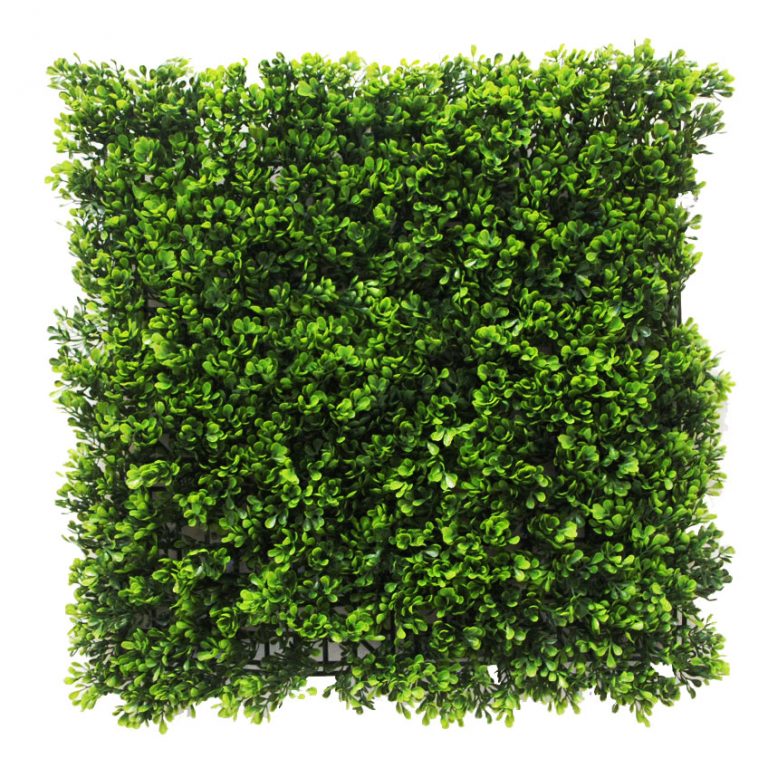 Artificial Vertical Wall Garden - Faux Buxus Mat 50x50cm UV Stabilised