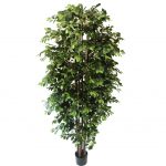 Buy Artificial Ficus Tree - Greenery Imports