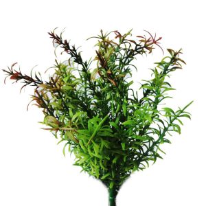 2 tone mimi leaf-bush