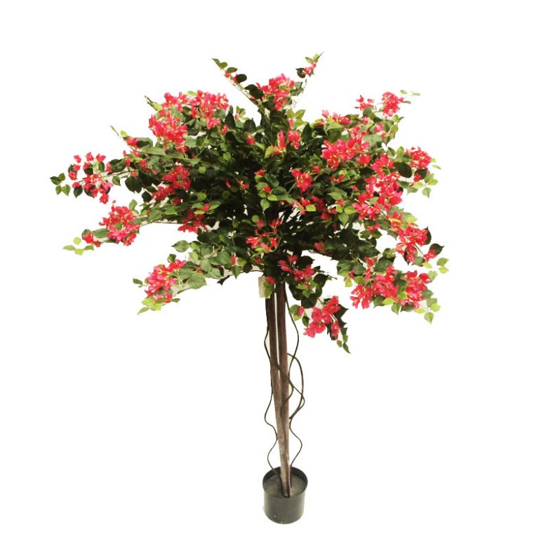 Artificial Bougainvillea Tree Fuchsia 1.8m | Greenery Imports