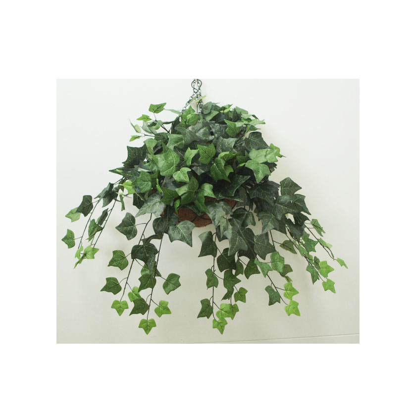 Ivy Vine70cm UV hanging-Basket