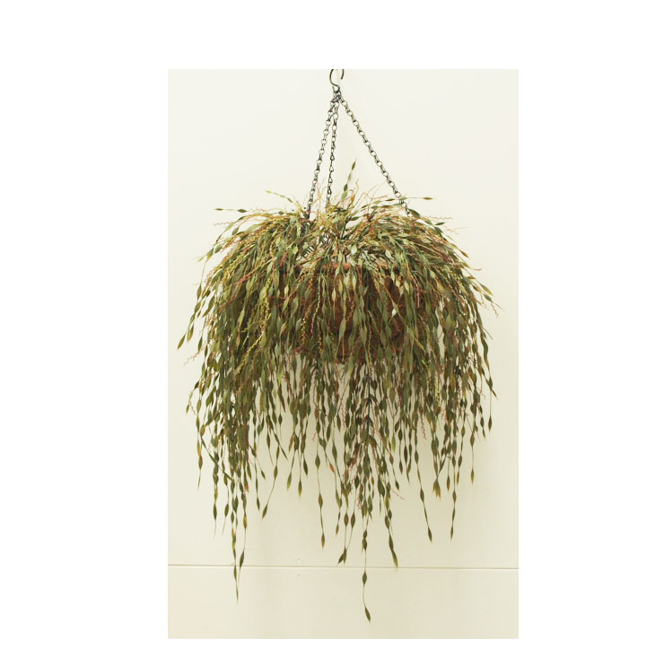Willow vine Hanging Basket
