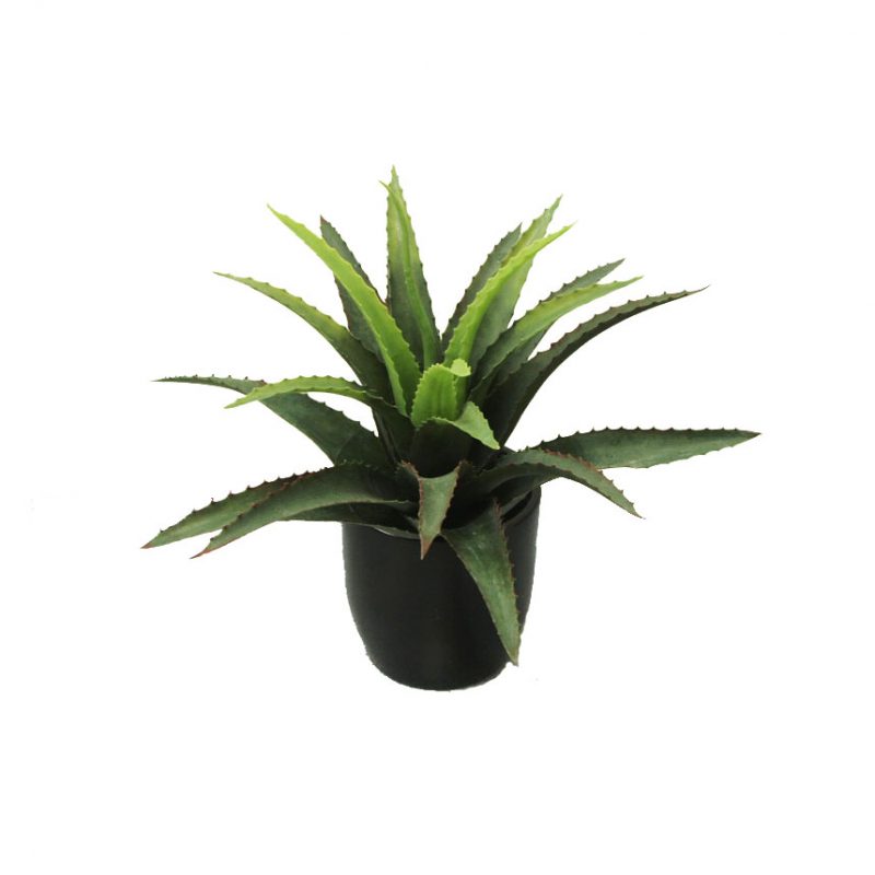 Artificial Cactus | Artificial Succulents | Greenery Imports