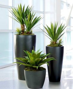 Artificial Agave | Artificial Yucca | Artificial plants