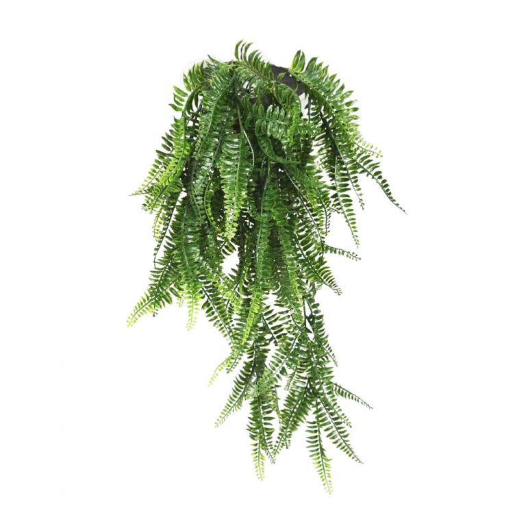 Artificial Ferns, Best Artificial Ferns Trees | Greenery Imports