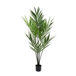 Kentia Palm UV Stabilized 1.8m