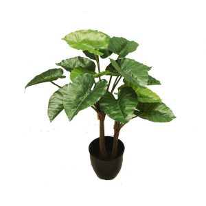 Alocasia Plant 120cm RCP26