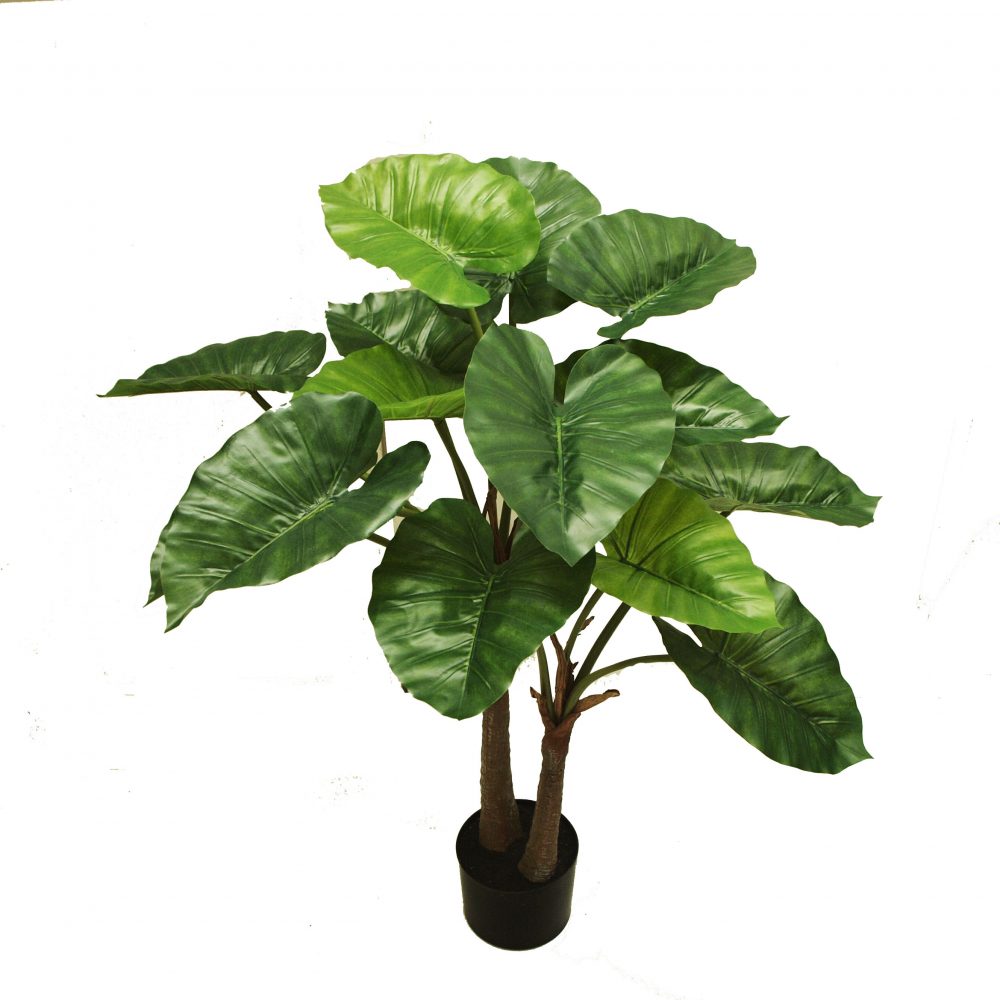 Alocasia Plant 120cm