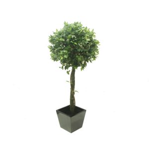 Ficus Topiary 120cm STP23