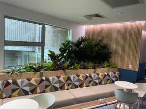 Artificial Plants - Gallery