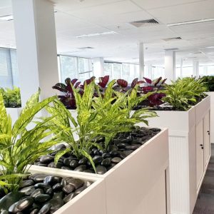 Small to Medium Artificial Plants