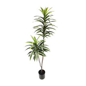 Artificial Dracaena Plant Variegated Real Touch 1m | Faux Dracaena Plant