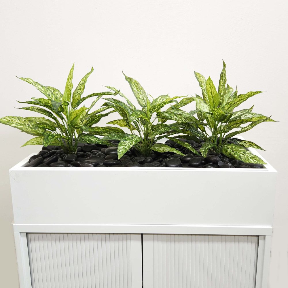 Office Plants, Fake Plants for Office, Planters, Faux Plants | Fake Dracaena | Artificial Office Plants | Tambour Plants | Aglaenoma Plant