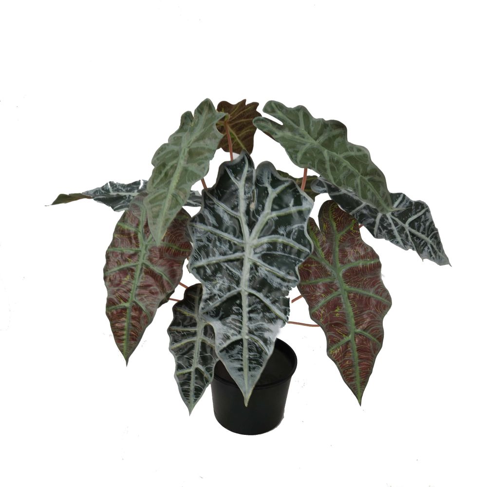 Artificial Shrubs | Fake Dracaena plant | Fake plants | Artificial Plant | Variegated Plant | planters | Office Plants | Alocasia Plant | Fake Taro Plant