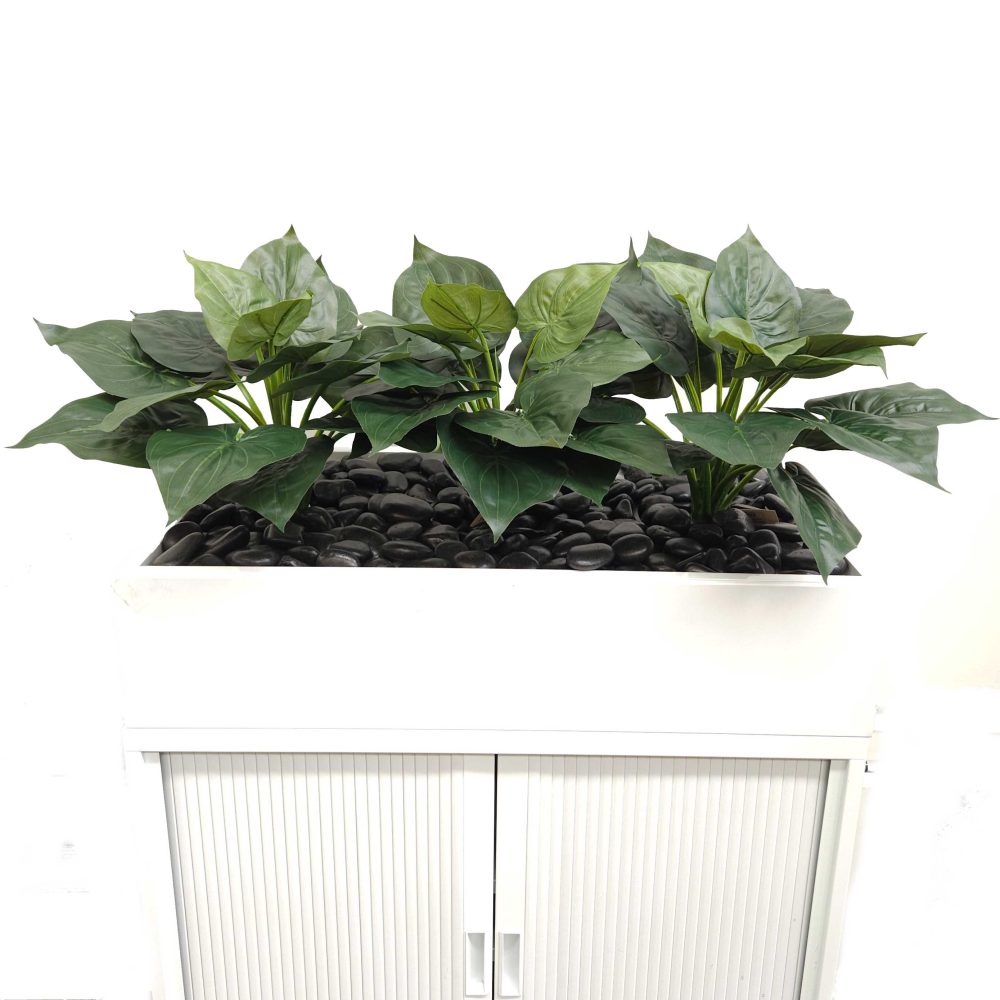 Office Plants, Fake Plants for Office, Planters, Faux Plants | Fake Dracaena | Artificial Office Plants | Tambour Plants | Caladium Bush