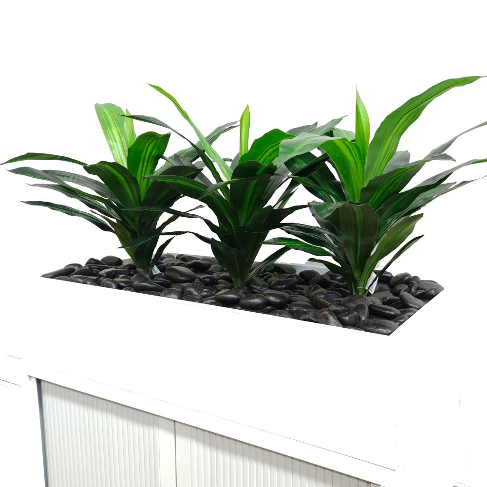 Office Plants, Fake Plants for Office, Planters, Faux Plants | Fake Dracaena | Artificial Office Plants | Tambour Plants