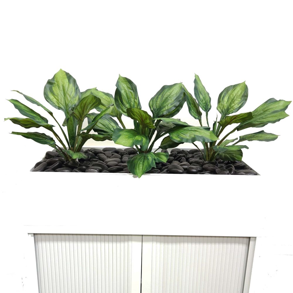 Office Plants, Fake Plants for Office, Planters, Faux Plants | Fake Dracaena | Artificial Office Plants | Tambour Plants | Hosta