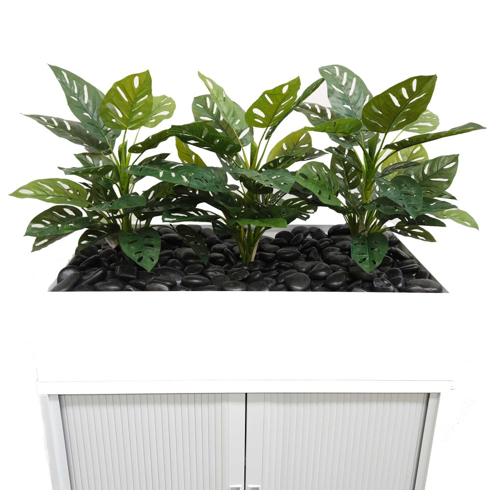 Office Plants, Fake Plants for Office, Planters, Faux Plants | Fake Dracaena | Artificial Office Plants | Tambour Plants | Monstera Plants