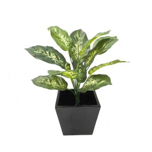 artificial plants | dieffenbachia plant | fake pot plant | indoor plants