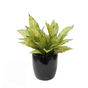 Artificial Plants for Table Top