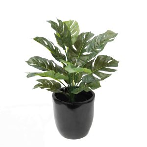 artificial plants | dieffenbachia plant | fake pot plant | indoor plants | split philo plant | Philo plant