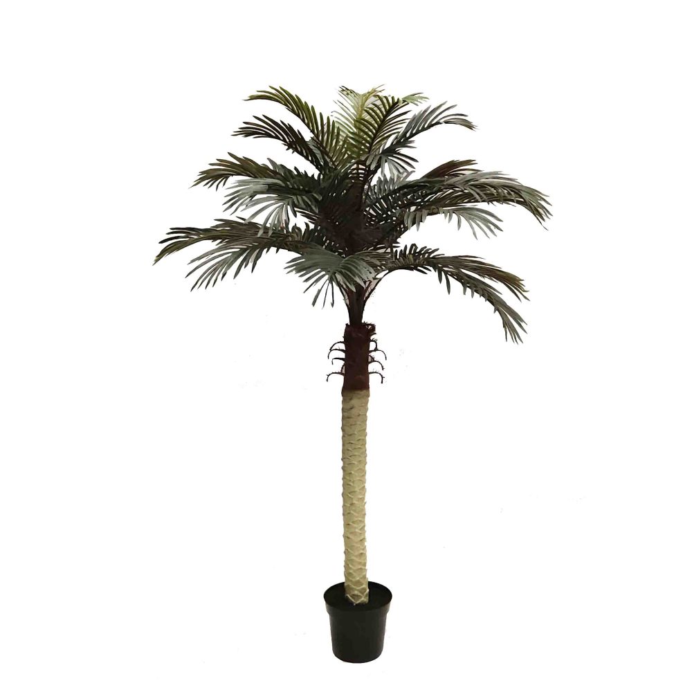 fake palm | artificial tall palm | Phooenix Palm | tall palm | lush palm | artificial Palm tree
