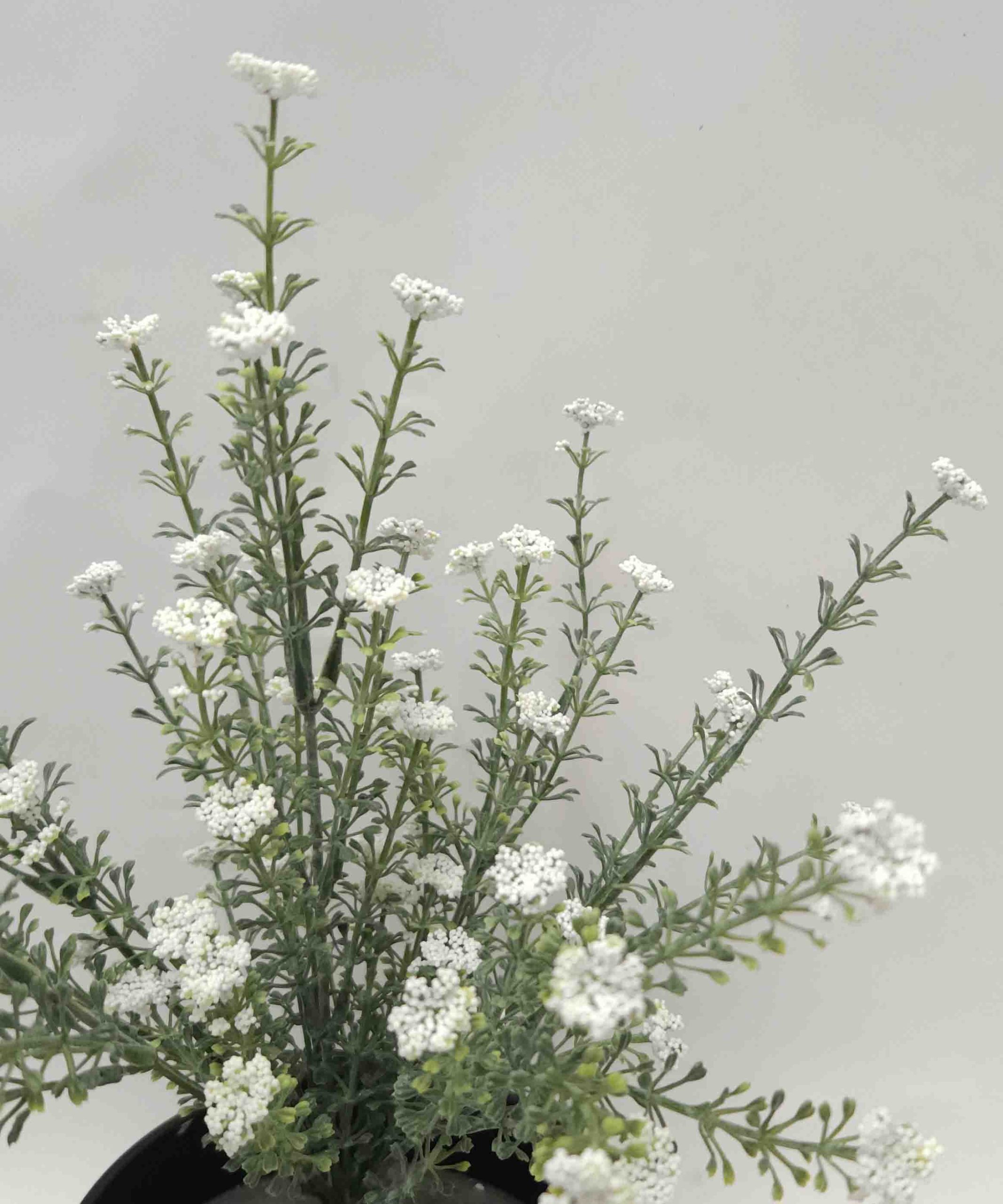 Artificial Baby's Breath Bush with White Flowers 35cm