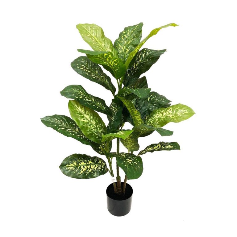 Buy Artificial Trees | Faux Trees | Greenery Imports