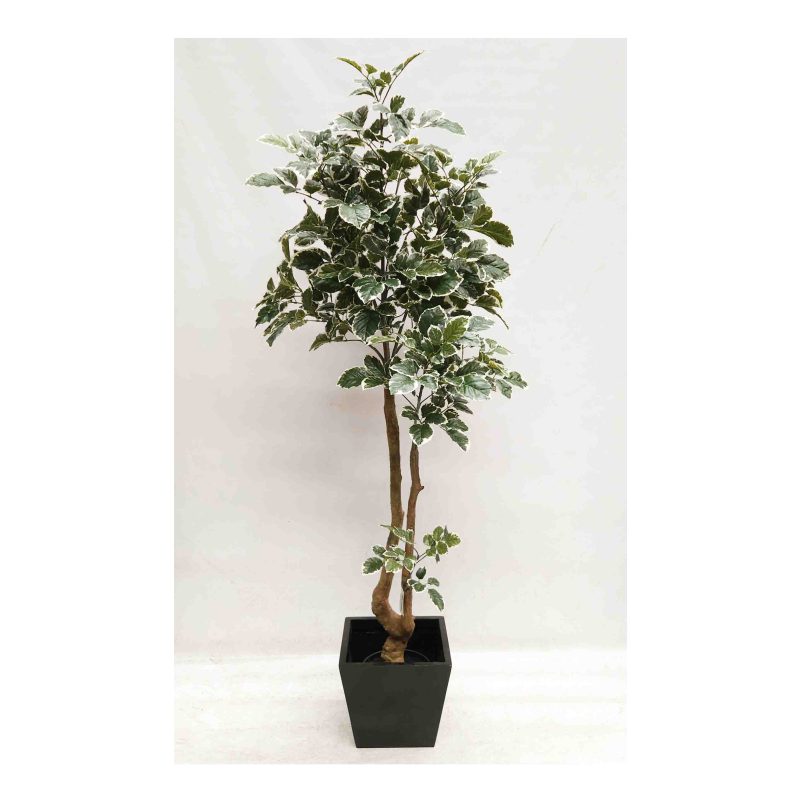 Buy Artificial Trees | Faux Trees | Greenery Imports