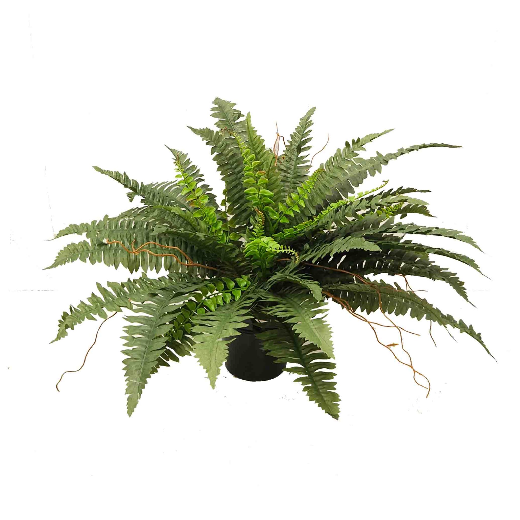 Buy Artificial Ferns | Faux Life-like Ferns | Greenery Imports