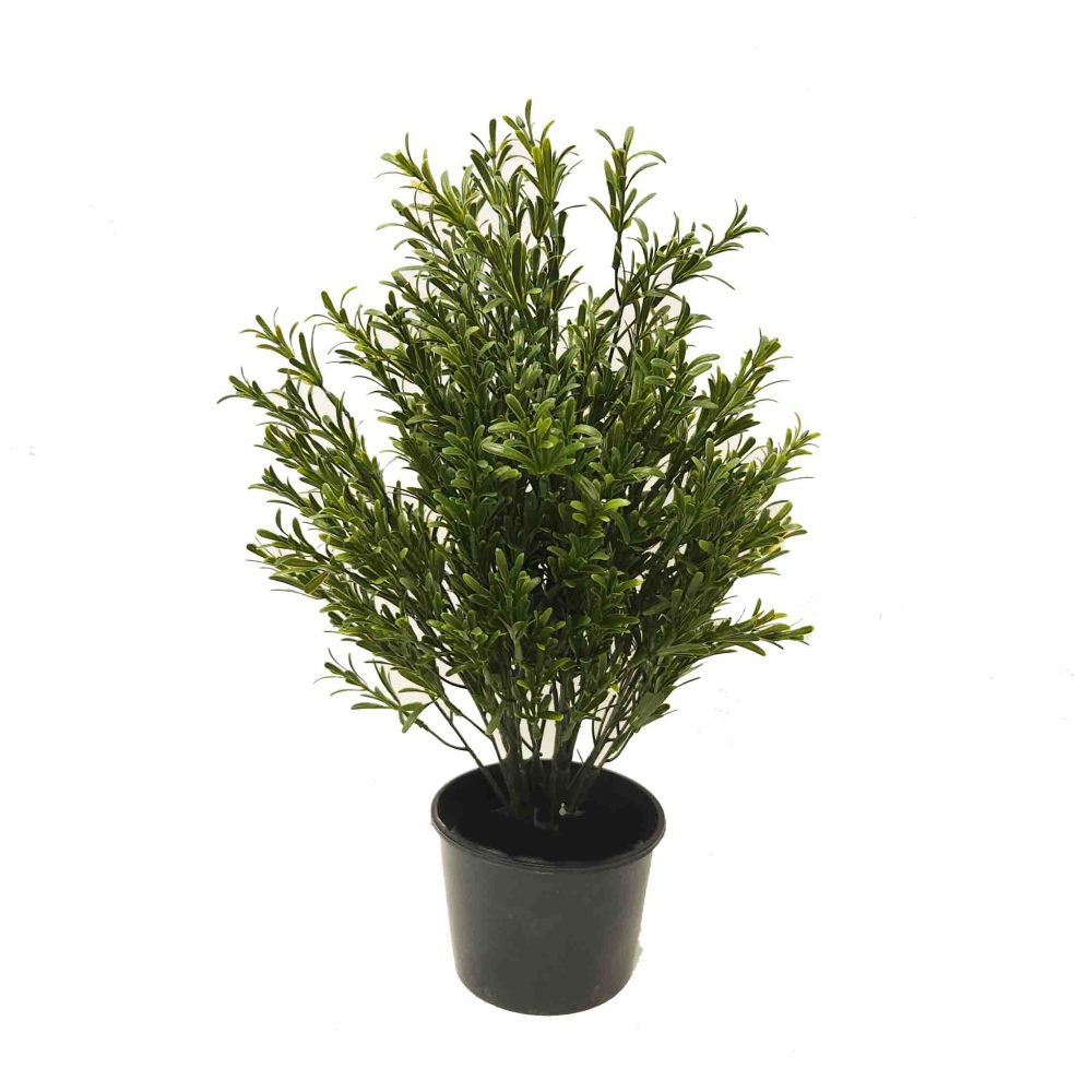 tealeaf bush | outdoor shrubs | fake shrubs | artificial plants | faux shrubs | UV resistant fake plants | aglaonema plant | rosemary bush