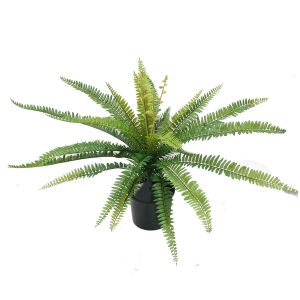 ruffle fern | fake fern | faux fern | pot plant | sword fern