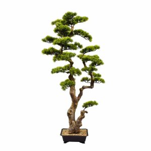 Conifer Bonsai | artificial bonsai | UV Stabilized Bonsai | pine tree | fake bonsai | faux bonsai | artificial plants