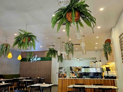 hanging plants basket cafe decor | plants decor | artificial plants
