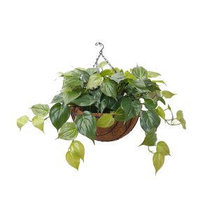 philodendron vine | philo vine | artificial philodendron | fake plants | artificial UV vines | UV stabilized plants