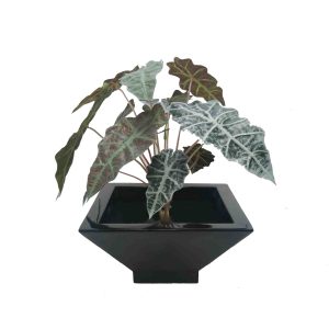 artificial plants | artificial table top plants | table top plants | pot plants | fake plants